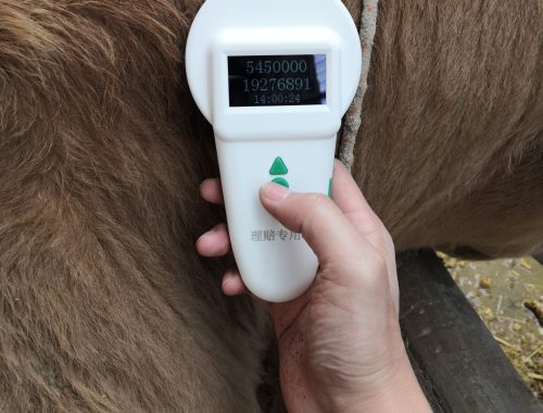 RFID ear tag reader